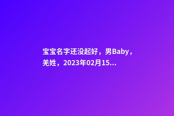 宝宝名字还没起好，男Baby，羌姓，2023年02月15日 04点43分要八